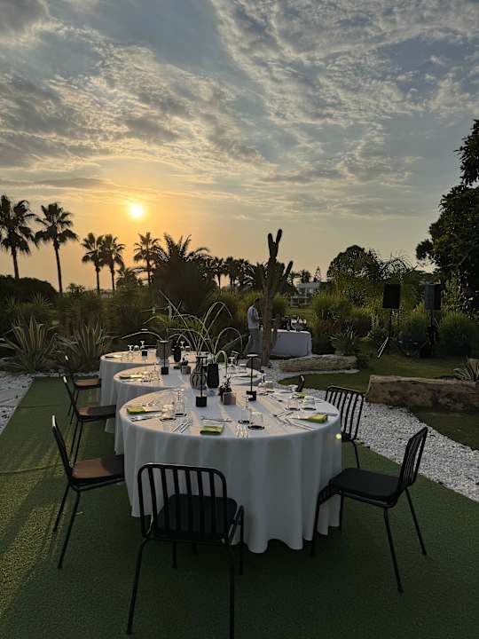 Gastro Paloma Finesse