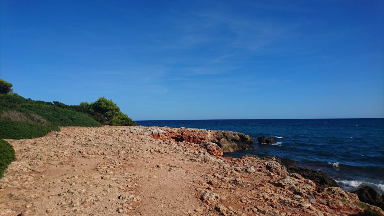 Strand Protur Vista Badia Aparthotel