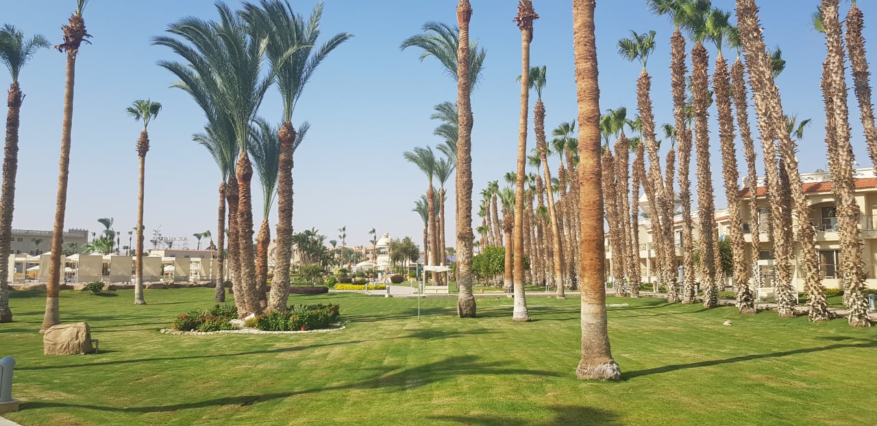 Außenansicht Beach Albatros Resort