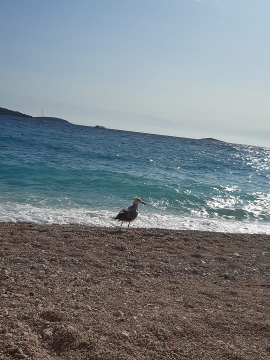 Strand Hotel Zora