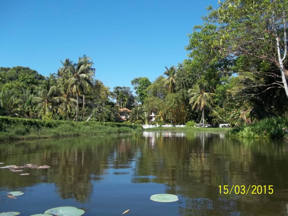 По пруду можно поплавать на лодке Ayubowan Swiss Lanka Bungalow Resort