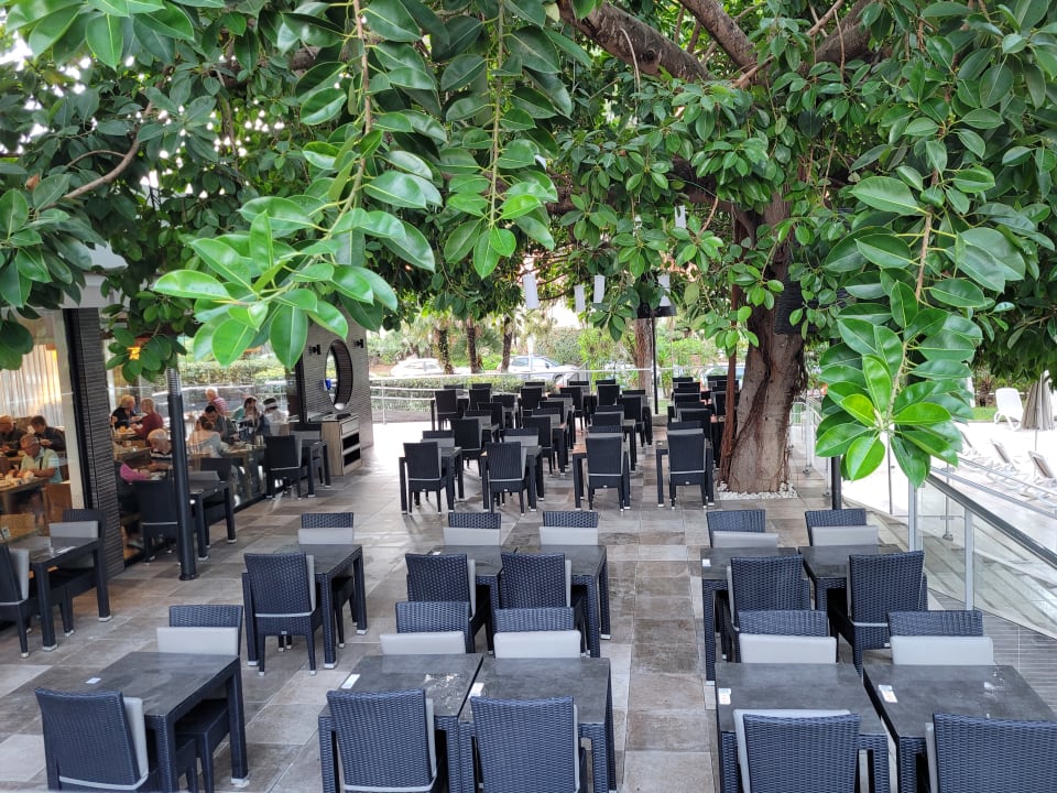 Gartenanlage Hotel Riu Festival