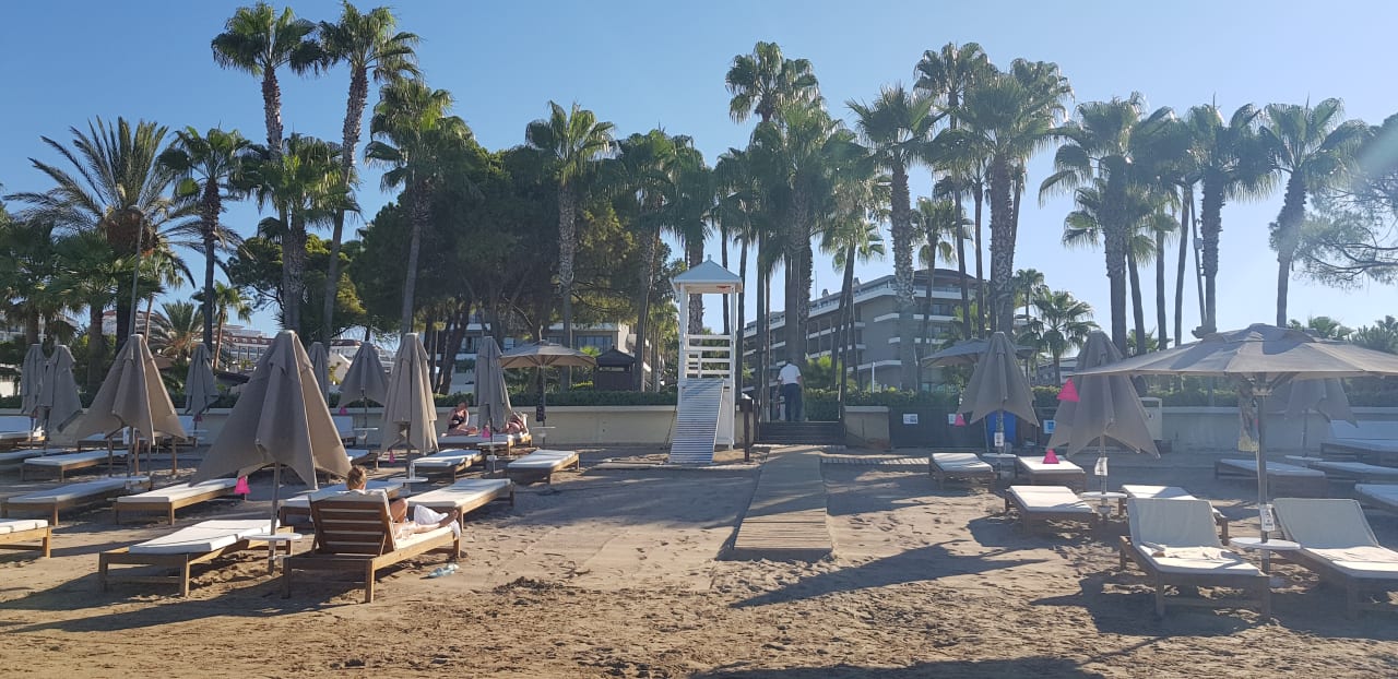 Strand Acanthus Cennet Barut Collection