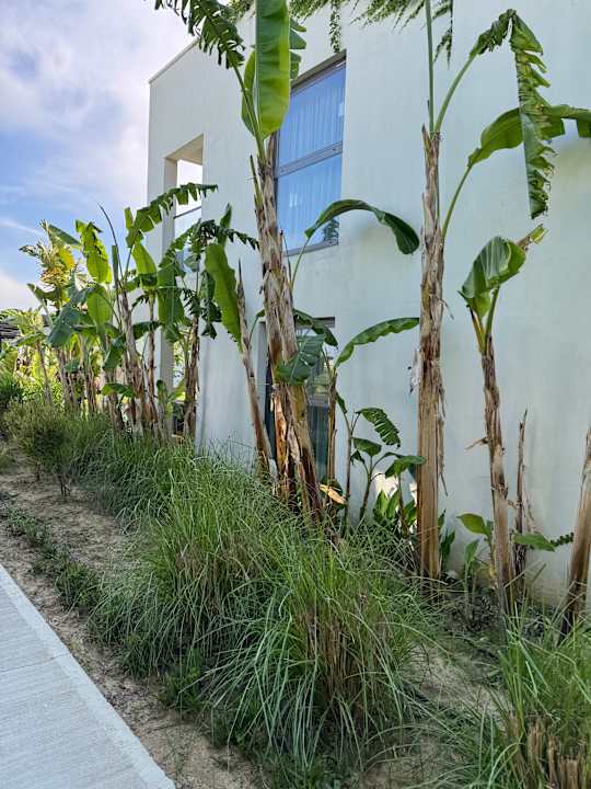 Gartenanlage Paloma Finesse