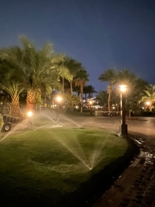 Gartenanlage Steigenberger ALDAU Beach Hotel