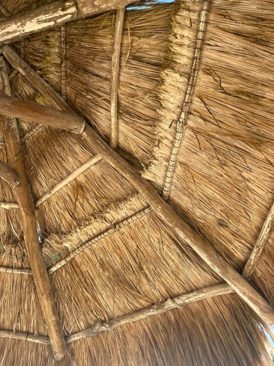 Strand Hotel Flamingo Cancun Resort