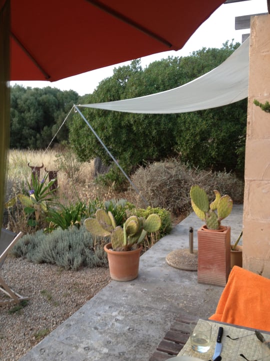 Blick auf die Nachbarterrasse Fincas Castell Son Lladó
