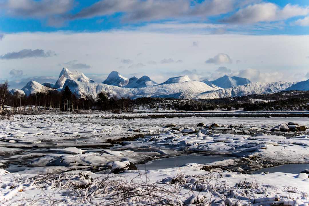 Ausblick Hotel Tysfjord Turistsenter
