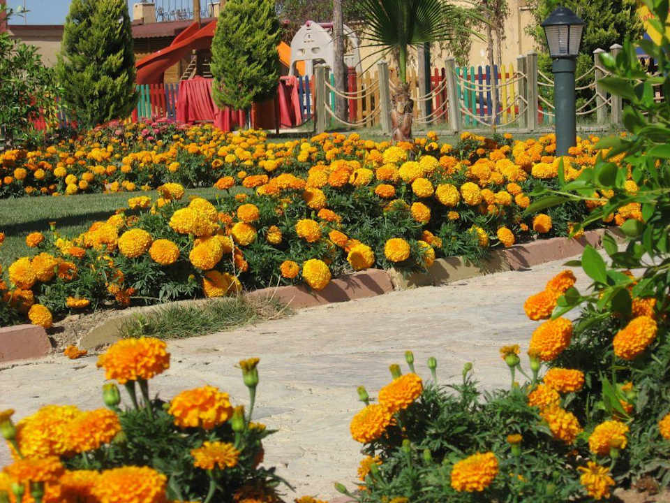 Gartenanlage Grand Seker Hotel