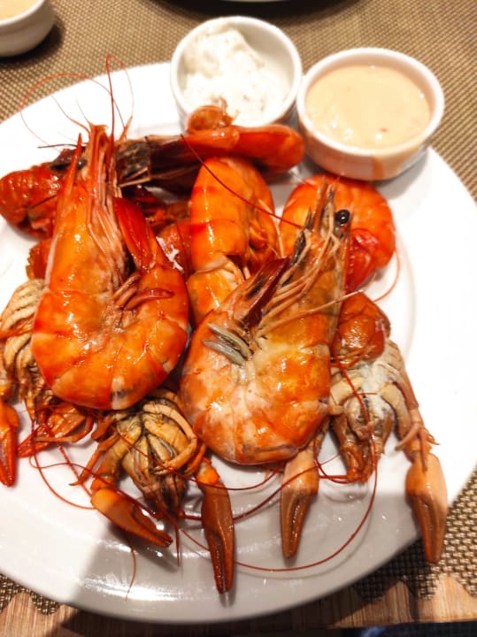 Gastro Acanthus Cennet Barut Collection