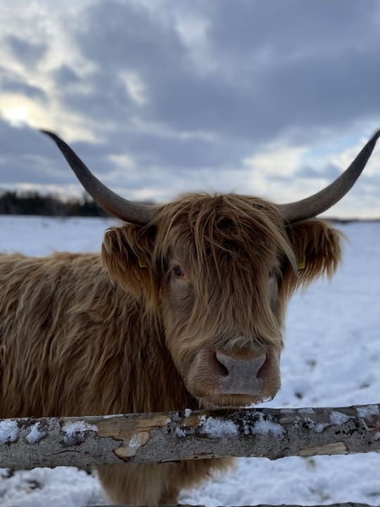 Sport & Freizeit Ferienwohnungen Ferienpark Weissenhäuser Strand