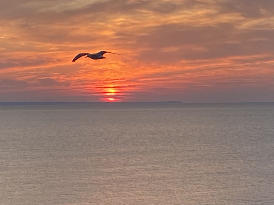 Ausblick GRIFID Vistamar