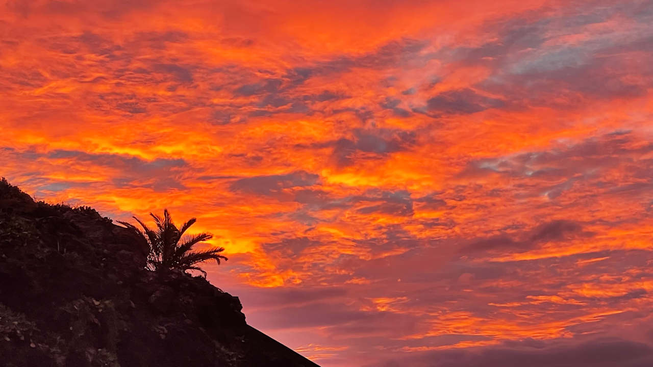 Ausblick Sentido Galomar