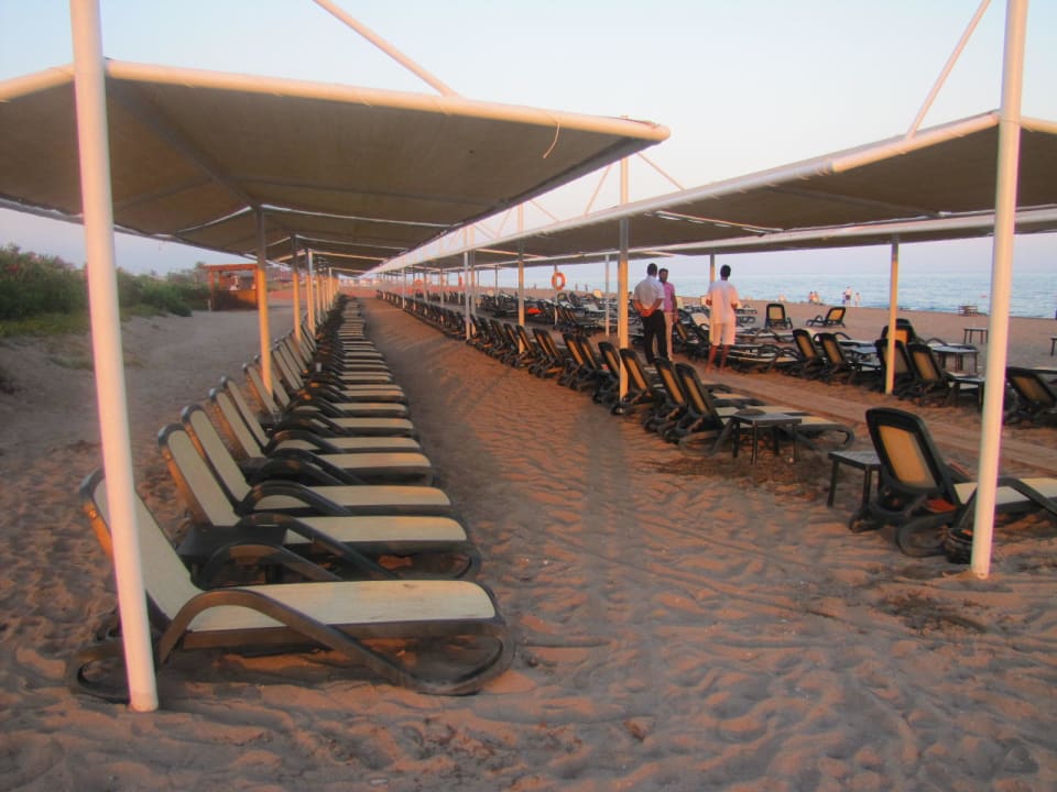 Alles kostenlos Sherwood Dreams Resort