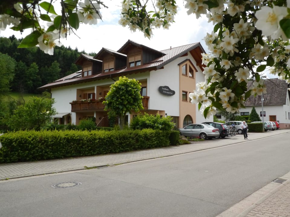 Hoteleingang Hotel Felsengarten