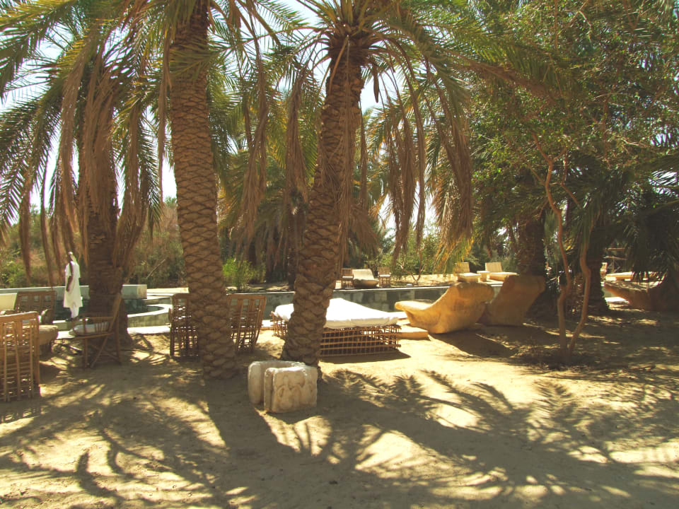 Sonstiges Adrere Amellal Eco Lodge