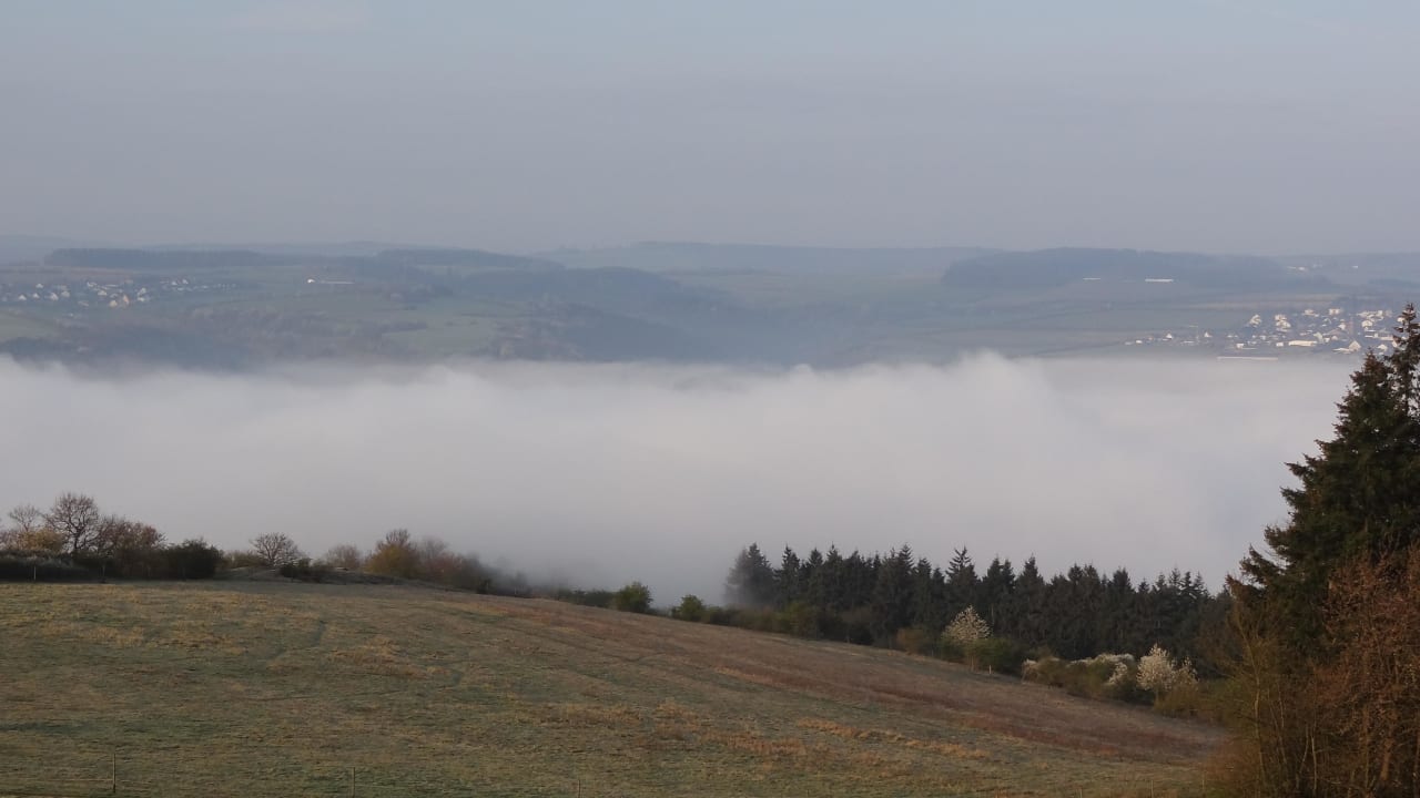 Blick vom Zimmmer auf das Rheintal Fetz - Das Loreley Hotel