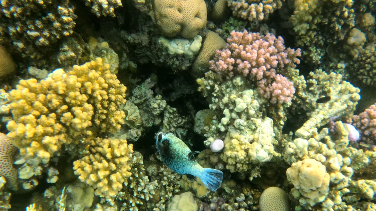 Sport & Freizeit Makadi Spa - Adults only