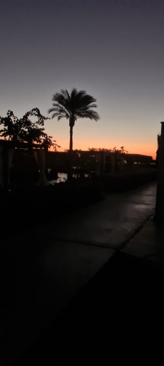 Außenansicht Steigenberger Resort Ras Soma