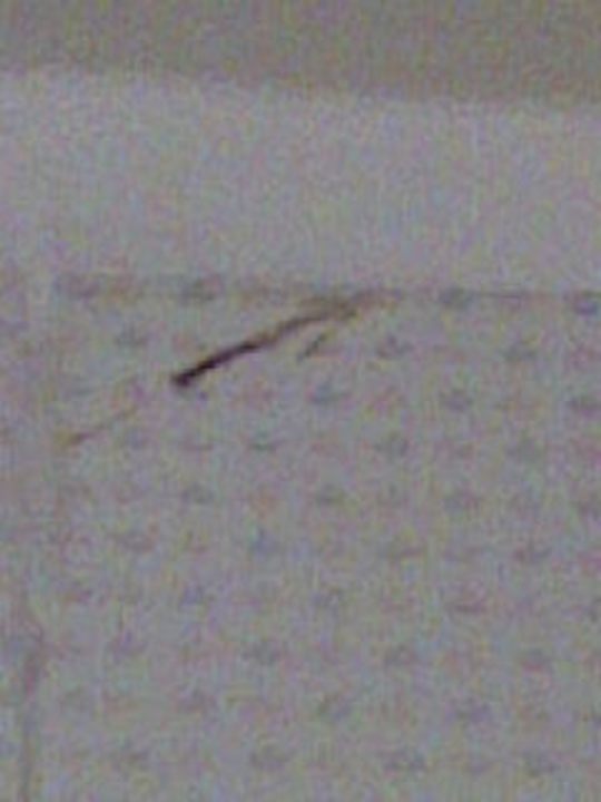 Hotel Ghazala Gardens Ghazala Gardens