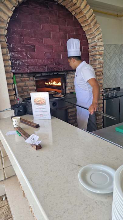 Strand Seashell Vega