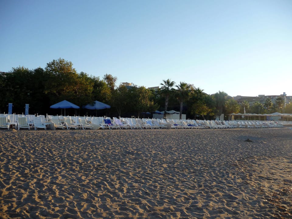 Liegen  Hotel Gardenia Beach