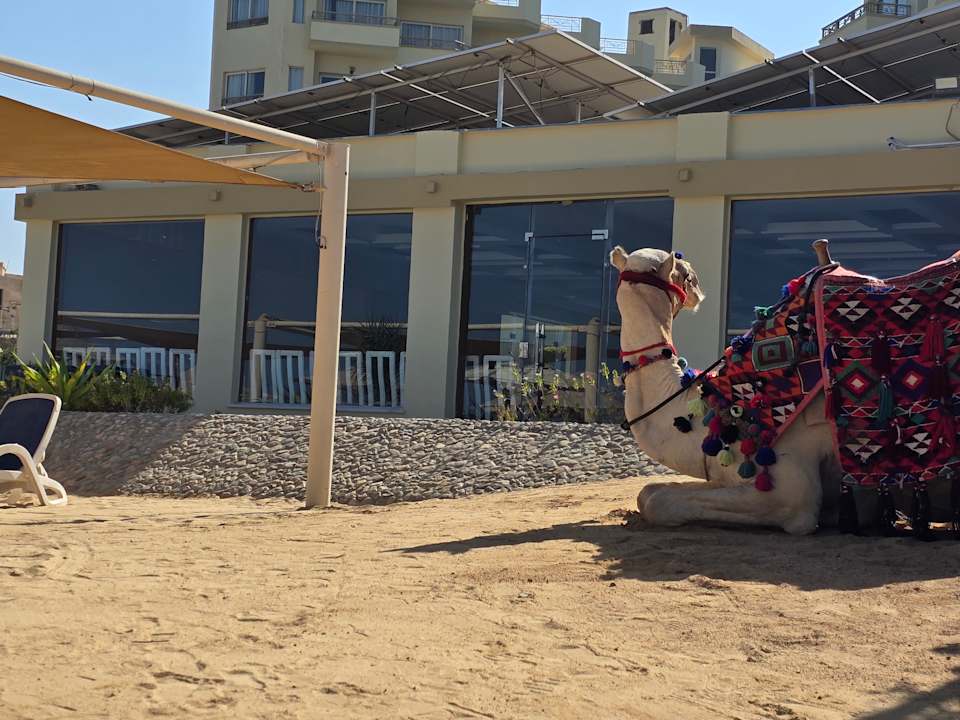 Strand Magic Beach Hotel Hurghada