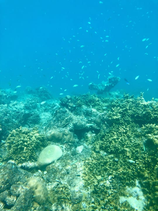 Sport & Freizeit Sun Siyam Olhuveli