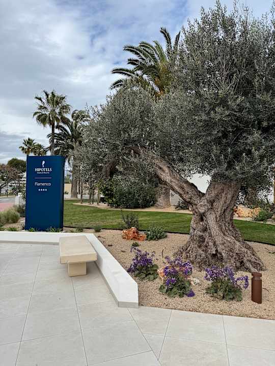 Außenansicht Hipotels Flamenco