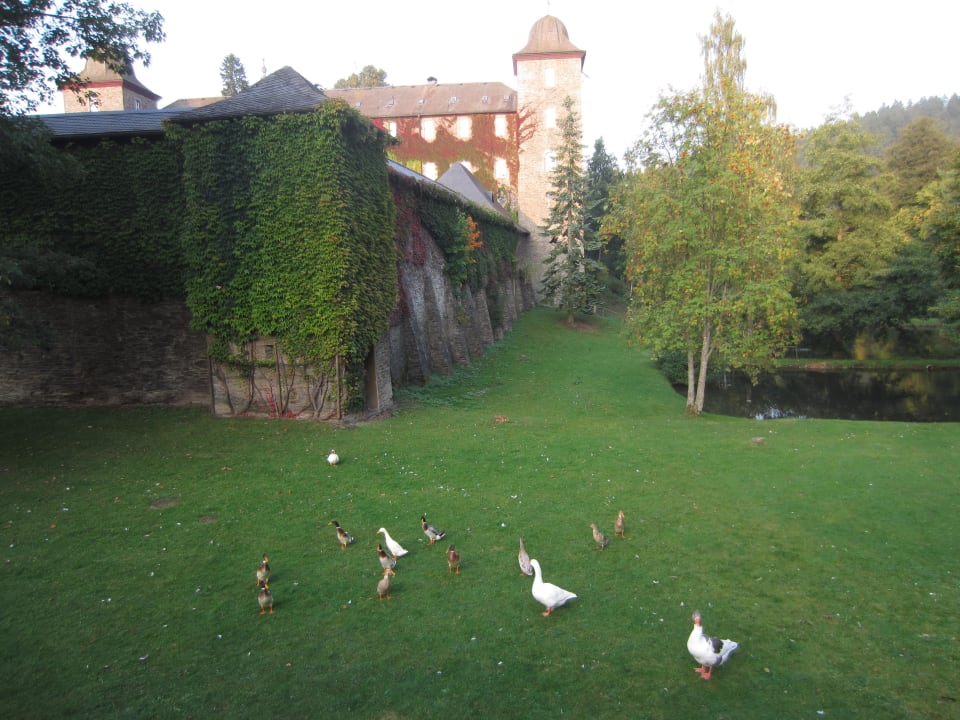 Impression Aussenansicht Schnellenberg Burghotel