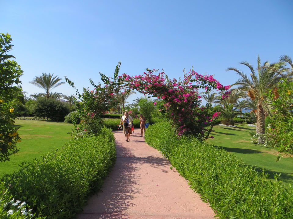 Garten Fantazia Resort Marsa Alam