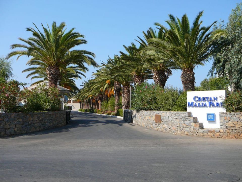 Hoteleingang mit "Palmenstrasse" Phãea Cretan Malia