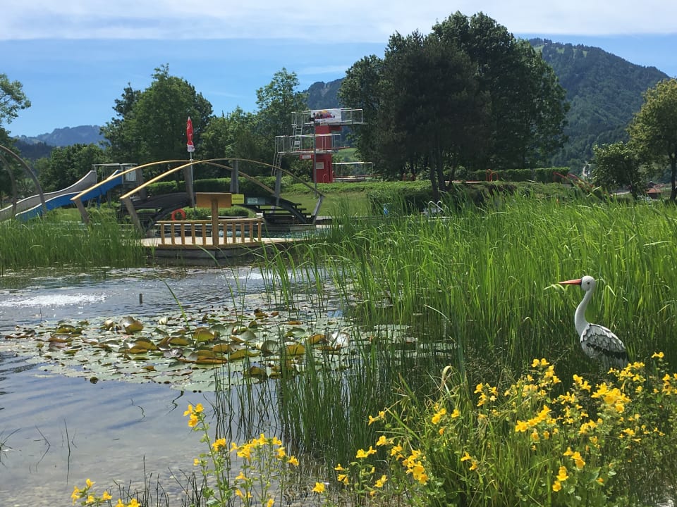 Gartenanlage Vitalpark Blaichach Burgberg