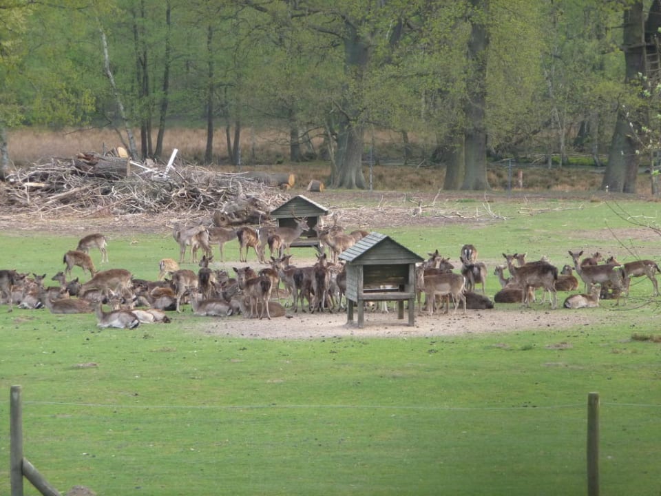 Blick vom Zimmer Hotel Seehof am Lütjensee