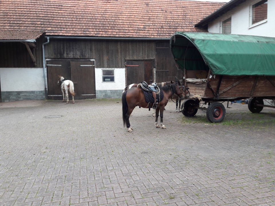Außenansicht Reiterlandhof Kamm