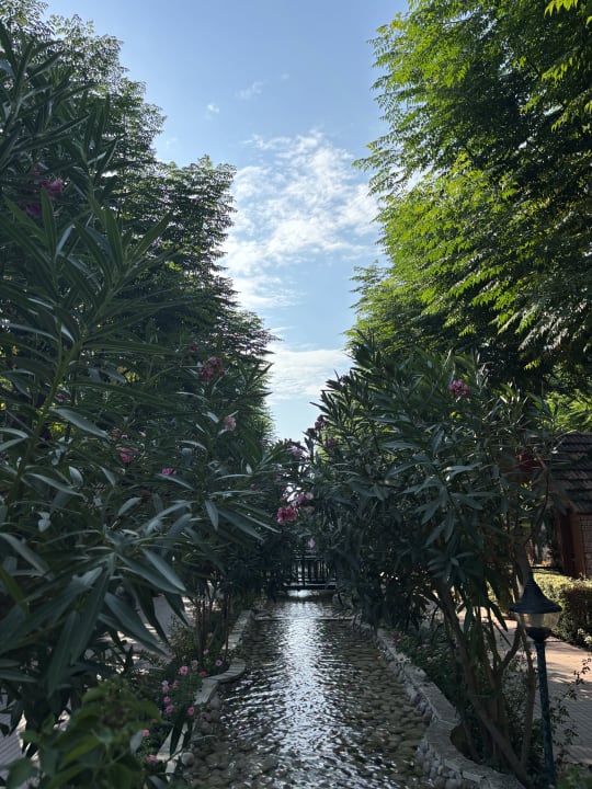 Gartenanlage Can Garden Beach