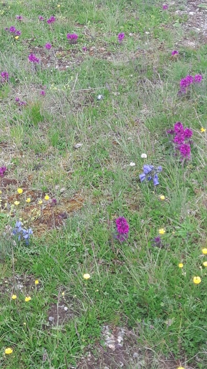 Gartenanlage Haus Nowak Ferienwohnung