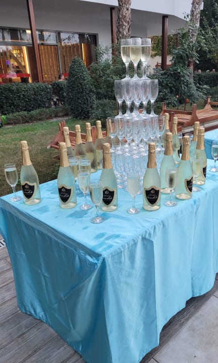 Gartenanlage Dream World Aqua Hotel