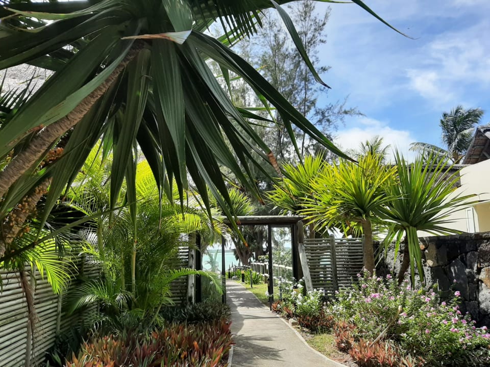 Gartenanlage Lagoon Attitude - Adults only