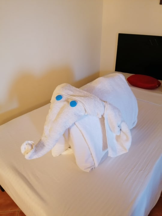 Zimmer Three Corners Sea Beach Resort