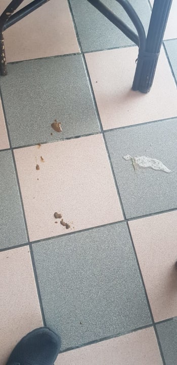 Gastro Puerto Plata Village