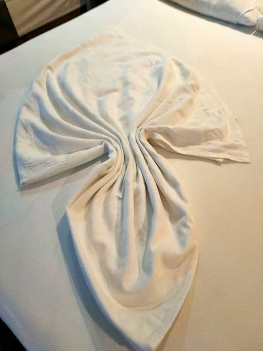 Zimmer Seaden Sea World Resort & Spa