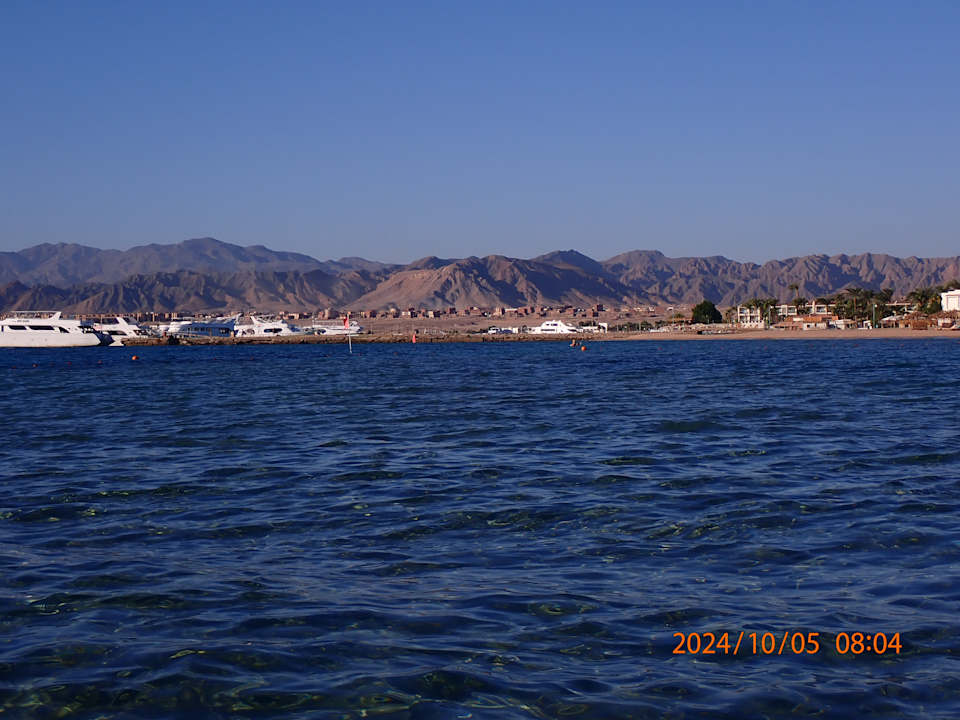 Sonstiges Shams Prestige Abu Soma-Adults Only