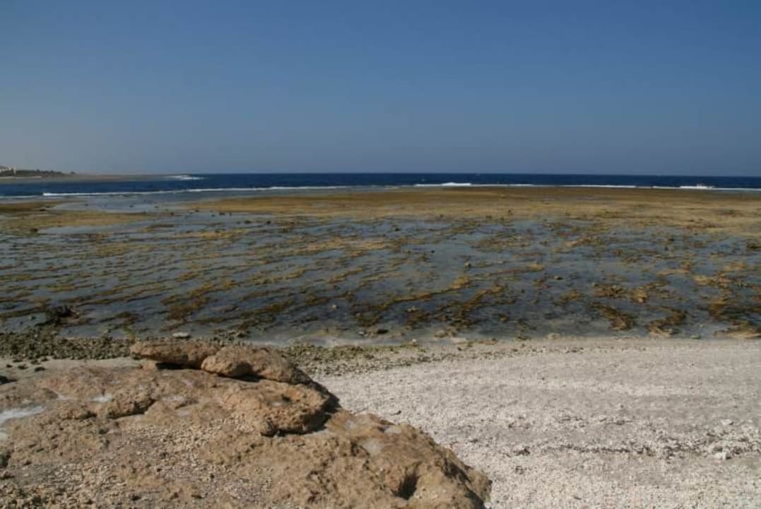 bei Ebbe Mövenpick Resort El Quseir