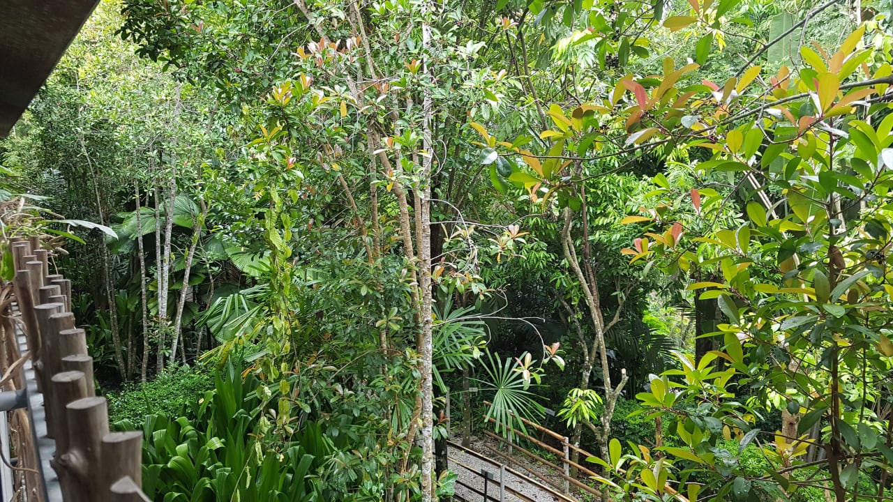 Ausblick Hotel Belum Rainforest Resort