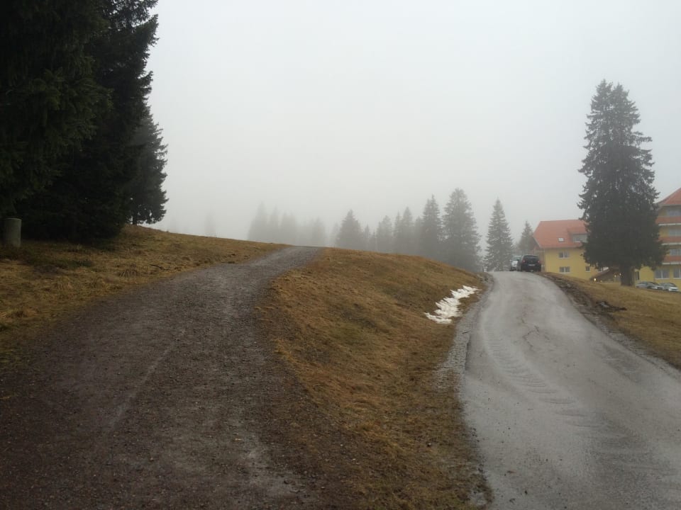 Blick ohne Schnee Berggasthof Auerhahn