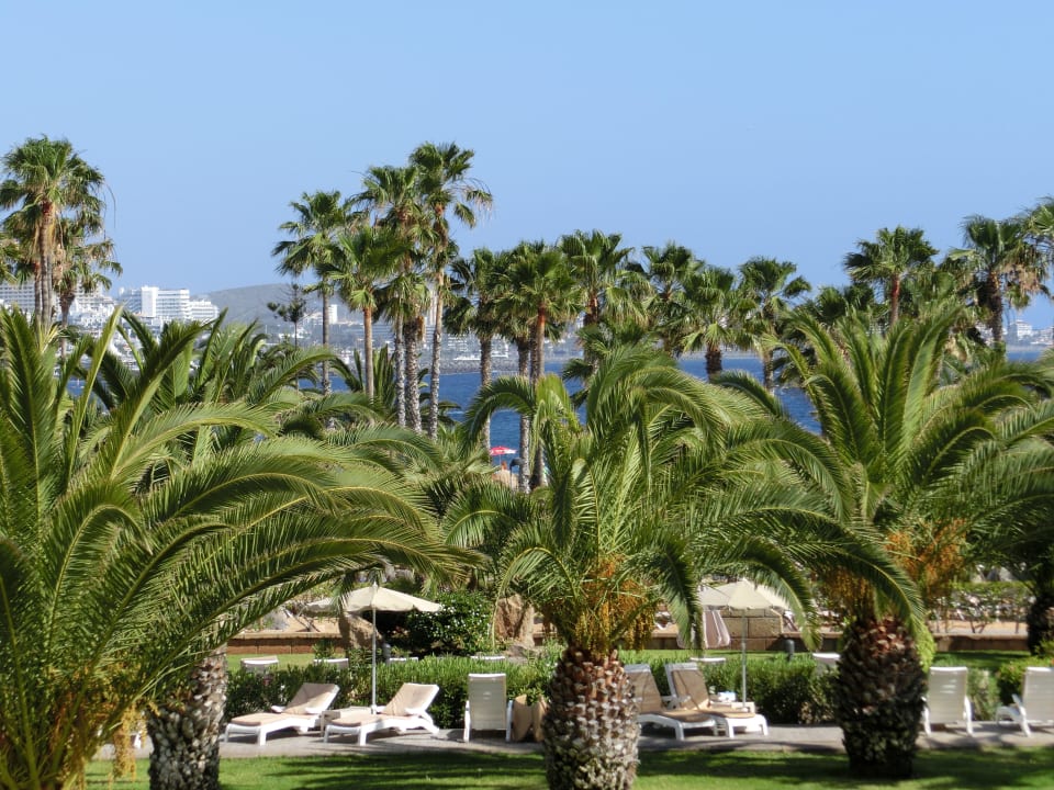 Poollandschaft Hotel Riu Palace Tenerife