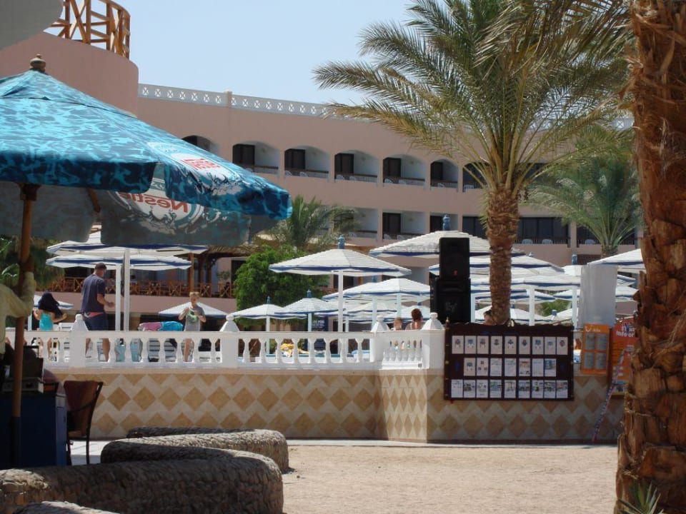 Außenanlage Pool Beach Albatros Resort