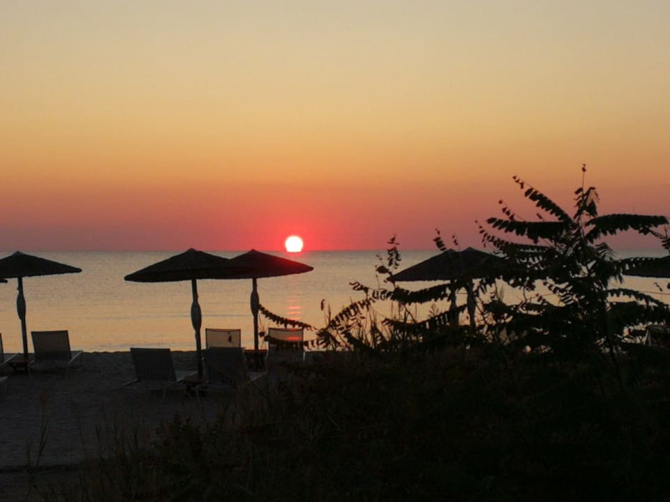 Strand Alexandra Golden Boutique - Adults only