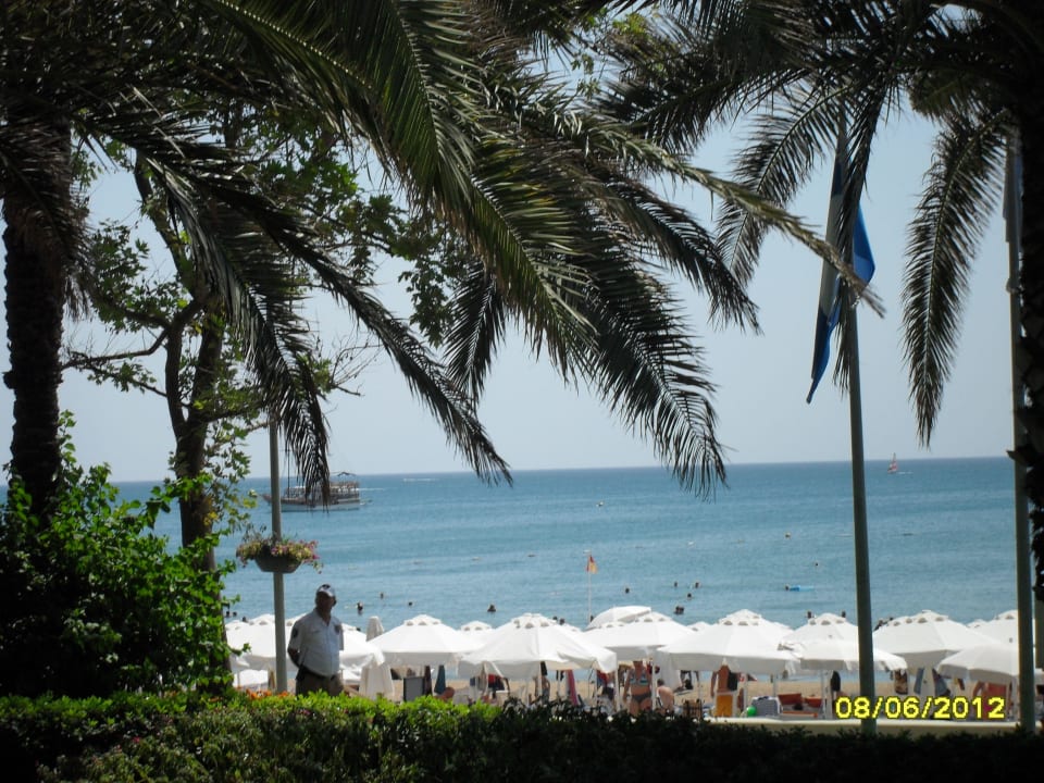 Weg zum Strand Side Star Elegance